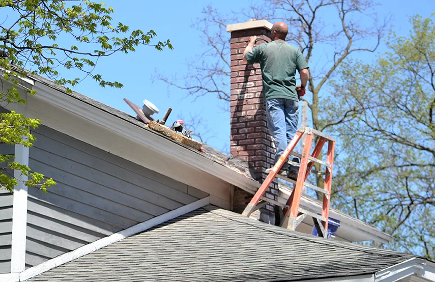 Chimney & Fireplace Inspections Services in Sun City Center, FL